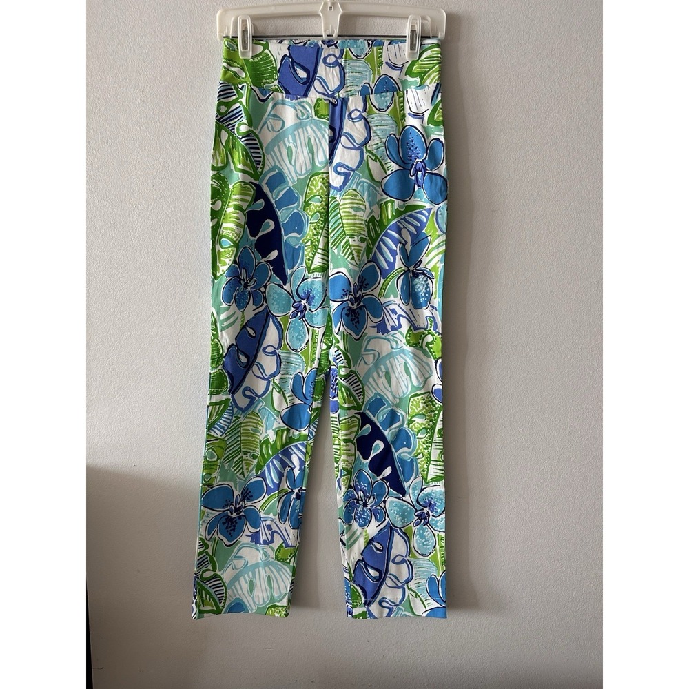 Barbara Erickson Pull On Pants  Women 4 Blue Green Tropical Floral Resort